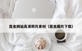 靖江昆虫网站高清照片素材（昆虫图片下载）